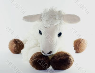 White toy lamb