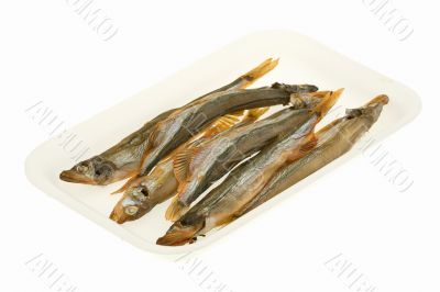 Capelin