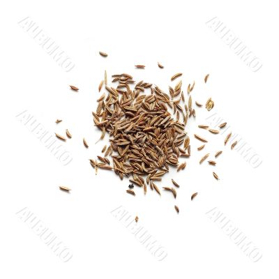 cumin isolated