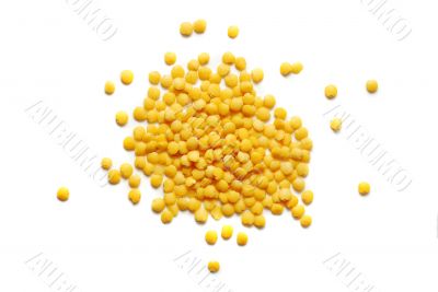 yellow lentil