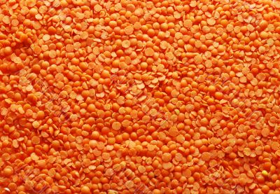 orange lentil background