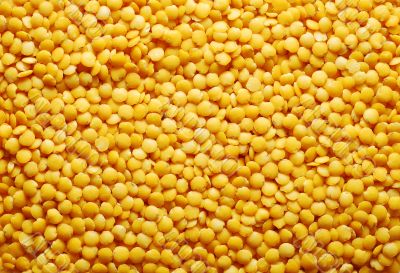 yellow lentil background