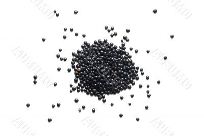 black lentil