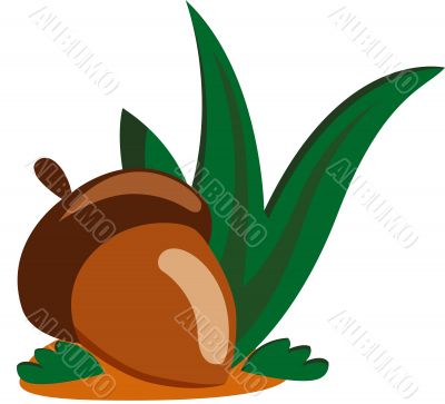 Acorn nut