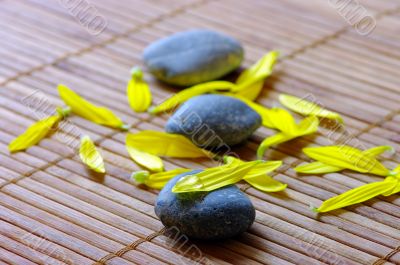 spa stones with flower petals