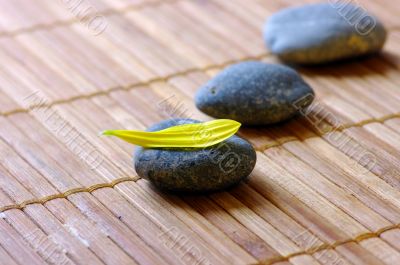 spa stones with flower petals