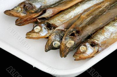 Capelin