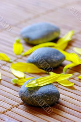 spa stones with flower petals