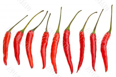 chili beans