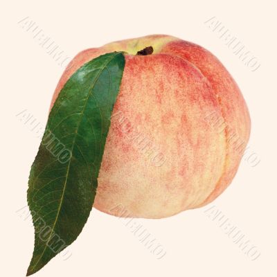 A peach