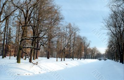 Aqueduct with trees in winter