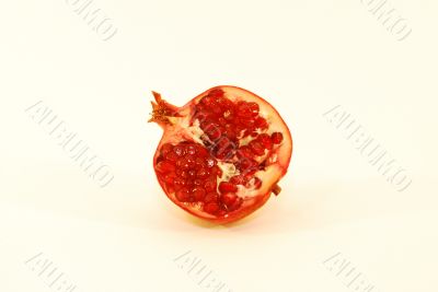  Pomegranate
