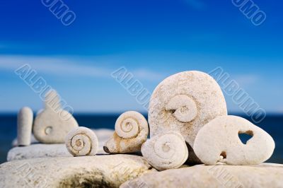 Snails from a stone
