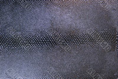 Black Snakeskin Texture