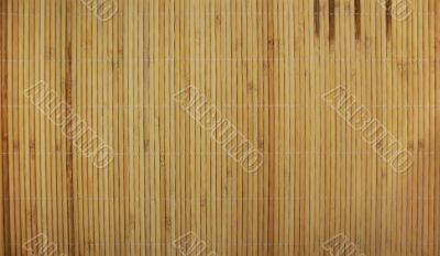 Bamboo texture