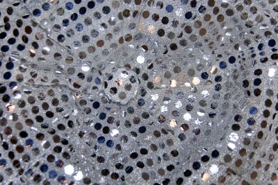 Sparkle dots gray texture with button