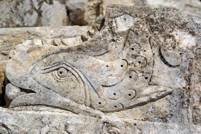 Stone fish