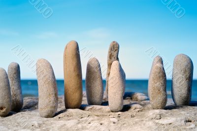 Wood of stones