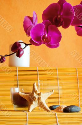 Spa theraphy