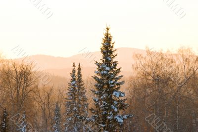 sunset in mountains