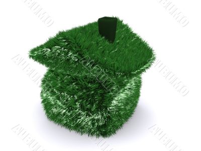 grass-house