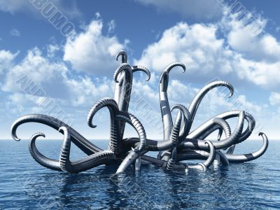 octopus