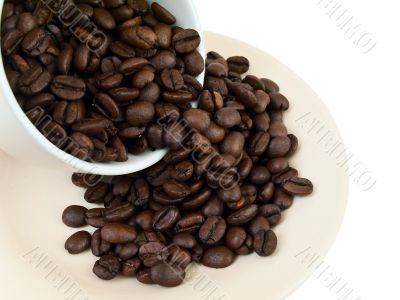 cup of coffee beans