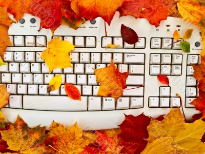 autumn keyboard