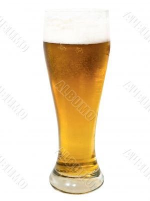 glass of beer
