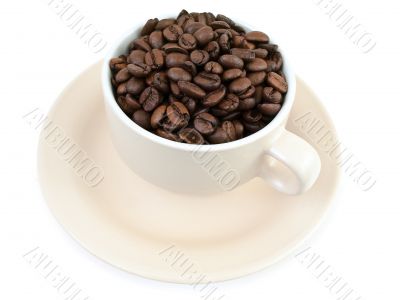 cup of coffee beans
