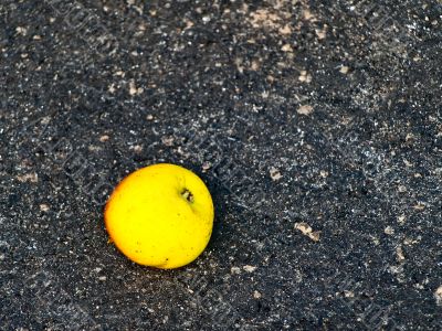 apple at asphalt