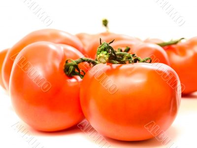 tomatoes
