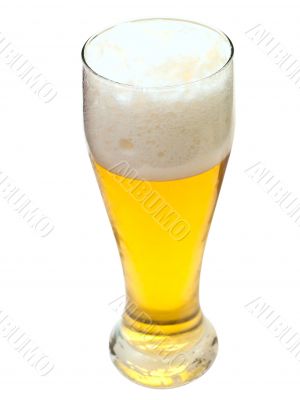 glass of beer