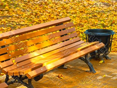 autumn bench