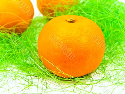 mandarin in decoration