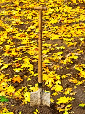 shovel in ground