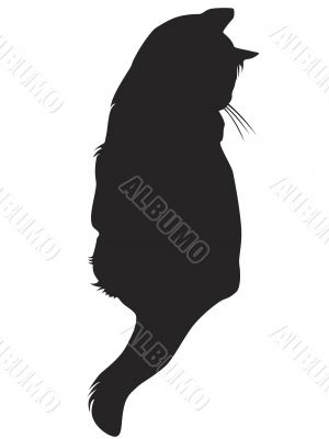 black cat silhouette