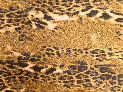 leopard background