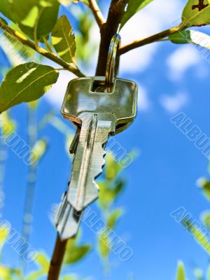 key on branch