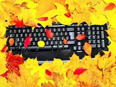 autumn keyboard