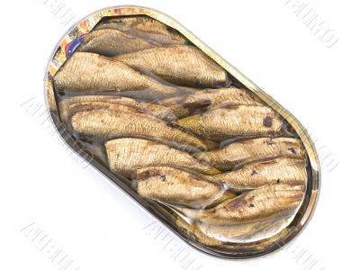 sprat