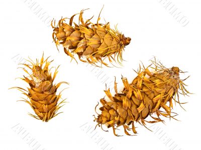 three cones
