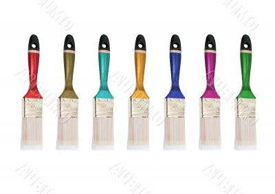 multicolored bristles