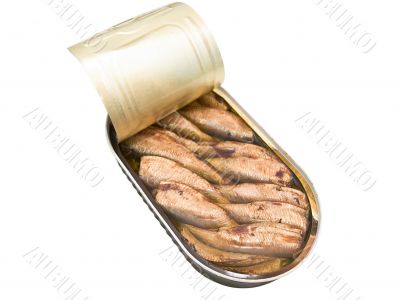 sprat