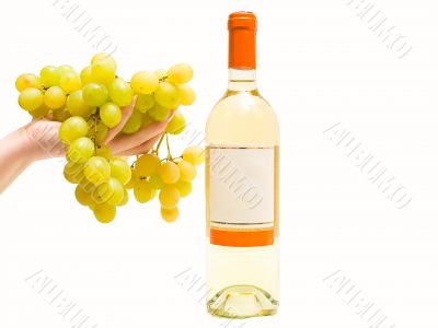 white wine with grape in hand