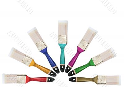 multicolored bristles in sun form