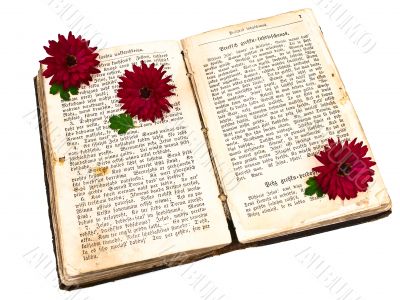 Old book with flowers