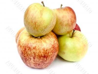 apples