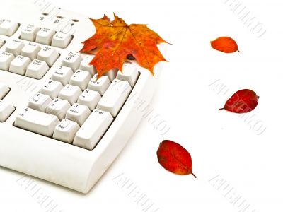 autumn keyboard