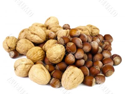 hazelnuts and walnuts